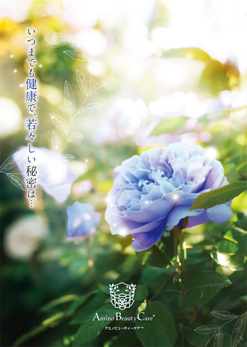 Amino Beauty Care&reg;　A4ポスターの画面