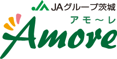 Amoreのロゴ